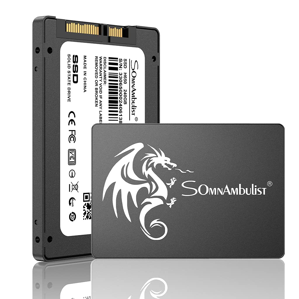 512GB SSD 2.5インチ SATA SomnAmbulist SomnAmbulist SSD 2.5 64GB 128GB 256GB 512GB 1TB for Laptop Desktop